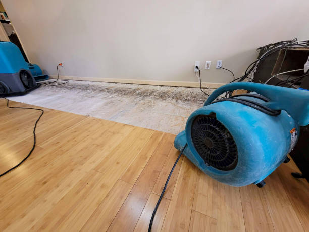 Professional Water Removal technician working in Tower, MN